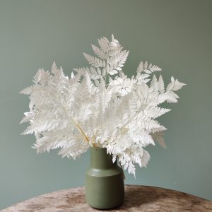 Fleurs séchées - botte de Fougere blanche crème - Les Herbes hautes
