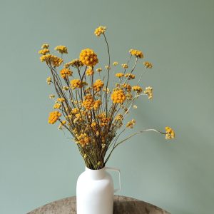 Fleurs séchées - botte de Lona jaune